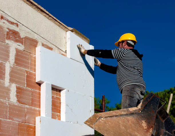 Best Insulation Maintenance and Repair in La Crosse, WI