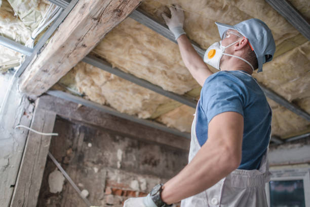 Best Geographic-Specific Insulation Services in La Crosse, WI