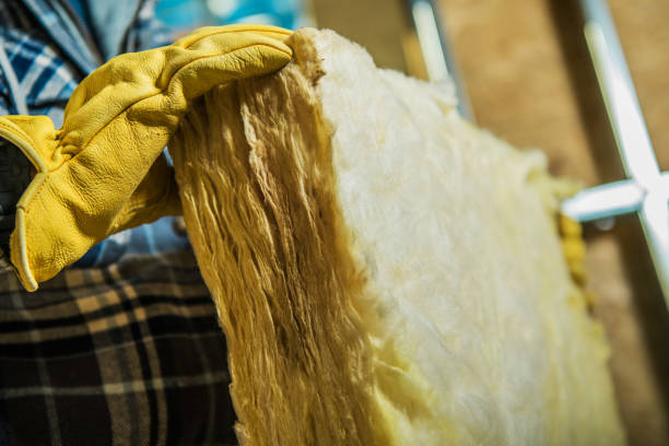 Best Residential Insulation in La Crosse, WI