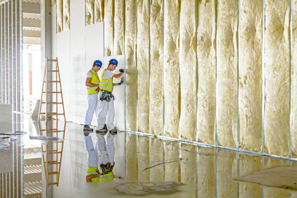 Best Blown-in Insulation in La Crosse, WI
